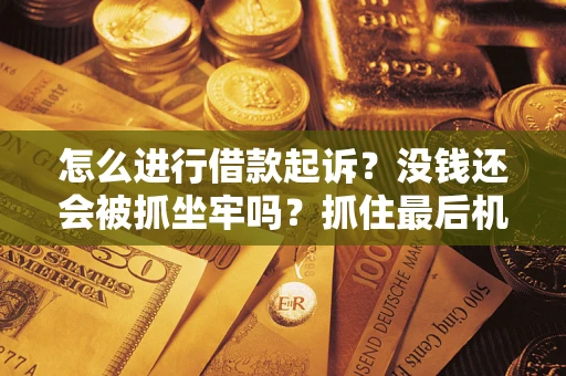 济南怎么进行借款起诉？没钱还会被抓坐牢吗？抓住最后机会！